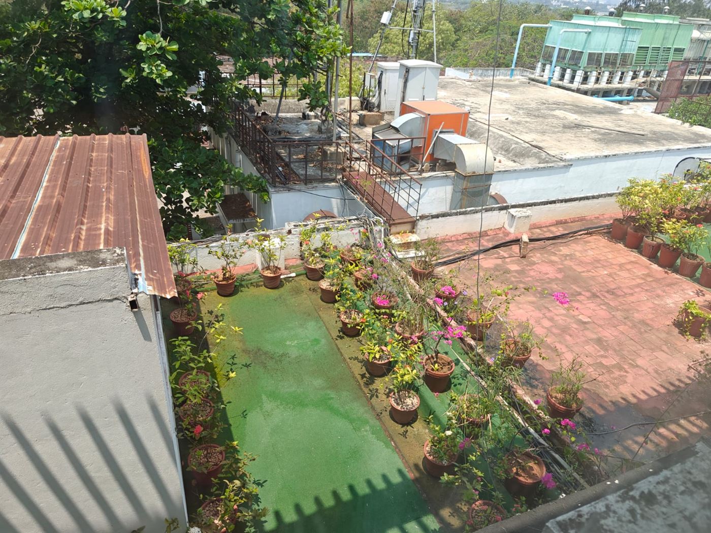 The garden view from the room, over a rooftop of air-conditioning units and potted plants